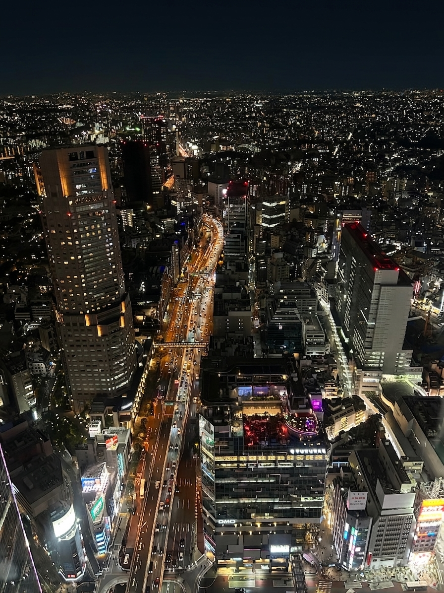 Shibuya from above